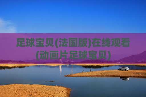 足球宝贝(法国版)在线观看(动画片足球宝贝)