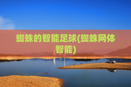 蜘蛛的智能足球(蜘蛛网体智能)