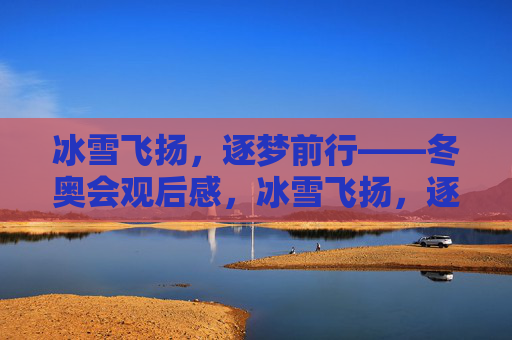 冰雪飞扬,逐梦前行——冬奥会观后感,冰雪飞扬,逐梦前行——冬奥会观后感