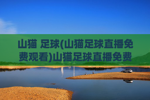 山猫 足球(山猫足球直播免费观看)山猫足球直播免费观看