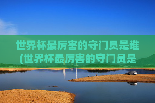 世界杯最厉害的守门员是谁(世界杯最厉害的守门员是谁啊)