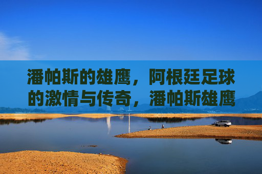 潘帕斯的雄鹰，阿根廷足球的激情与传奇，潘帕斯雄鹰，阿根廷足球的激情与传奇