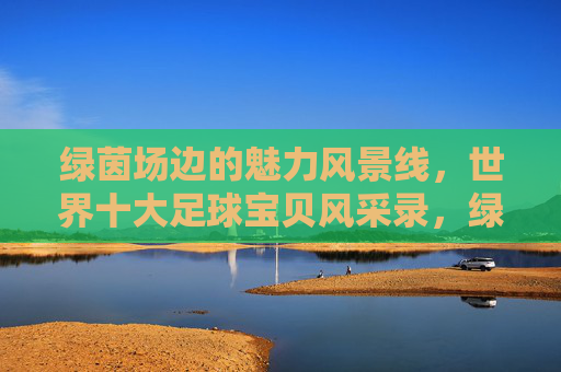 绿茵场边的魅力风景线，世界十大足球宝贝风采录，绿茵场十大足球宝贝魅力风采录