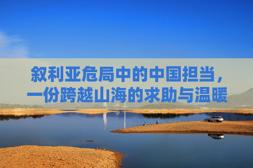 叙利亚危局中的中国担当,一份跨越山海的求助与温暖回应