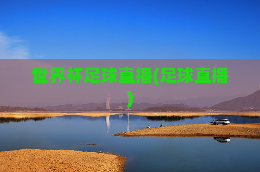 世界杯足球直播(足球直播)