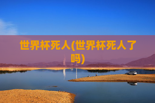 世界杯死人(世界杯死人了吗)