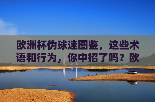 欧洲杯伪球迷图鉴,这些术语和行为,你中招了吗?欧洲杯伪球迷图鉴,这些术语与行为,你中招了吗?