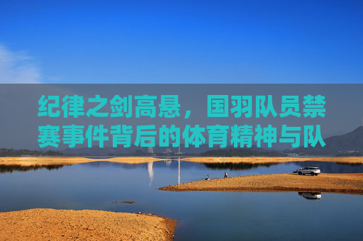 纪律之剑高悬，国羽队员禁赛事件背后的体育精神与队伍坚守，纪律之剑高悬，国羽禁赛事件中的体育精神与队伍坚守