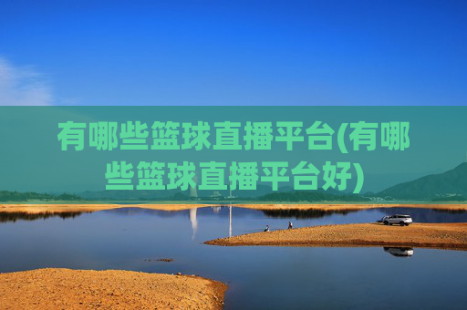 有哪些篮球直播平台(有哪些篮球直播平台好)