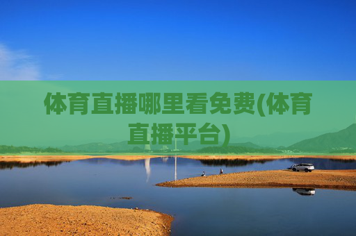 体育直播哪里看免费(体育直播平台)