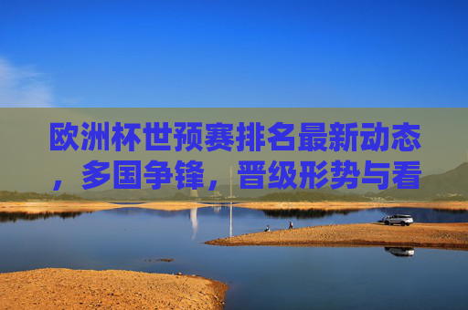 欧洲杯世预赛排名最新动态，多国争锋，晋级形势与看点解析，欧洲杯世预赛最新排名，多国争锋晋级形势与看点解析