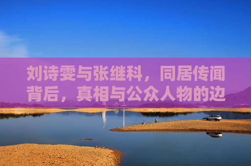 刘诗雯与张继科，同居传闻背后，真相与公众人物的边界，刘诗雯张继科同居传闻，真相与公众人物边界