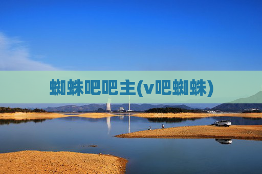 蜘蛛吧吧主(v吧蜘蛛)
