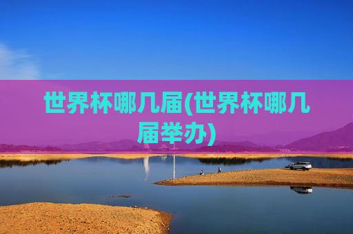 世界杯哪几届(世界杯哪几届举办)