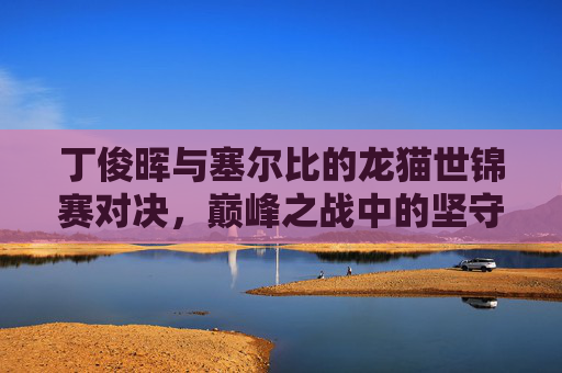 丁俊晖与塞尔比的龙猫世锦赛对决，巅峰之战中的坚守与突破，丁俊晖塞尔比龙猫巅峰对决，坚守与突破