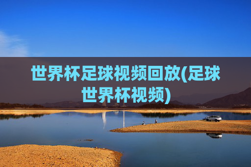 世界杯足球视频回放(足球世界杯视频)