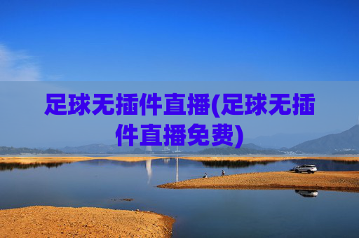 足球无插件直播(足球无插件直播免费)