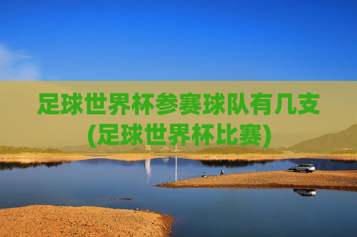 足球世界杯参赛球队有几支(足球世界杯比赛)