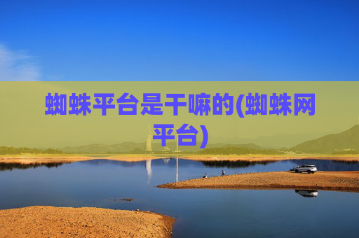 蜘蛛平台是干嘛的(蜘蛛网平台)