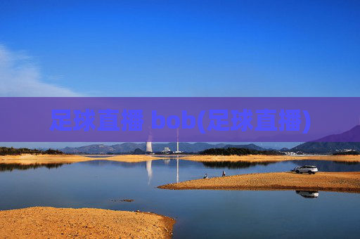 足球直播 bob(足球直播)