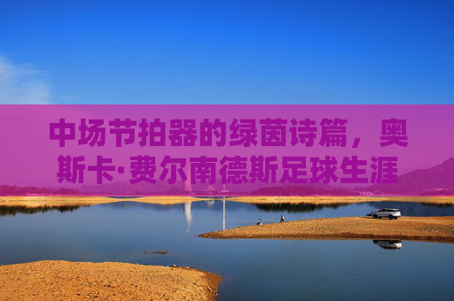 中场节拍器的绿茵诗篇,奥斯卡·费尔南德斯足球生涯全纪录,中场节拍器奥斯卡·费尔南德斯,绿茵诗篇全纪录