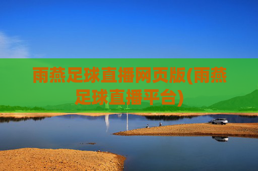 雨燕足球直播网页版(雨燕足球直播平台)