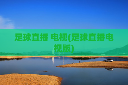 足球直播 电视(足球直播电视版)