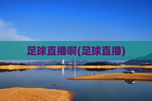 足球直播啊(足球直播)