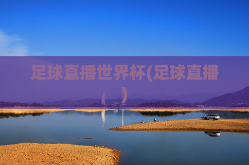 足球直播世界杯(足球直播)