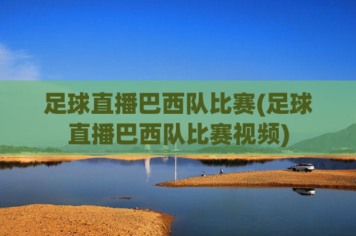 足球直播巴西队比赛(足球直播巴西队比赛视频)