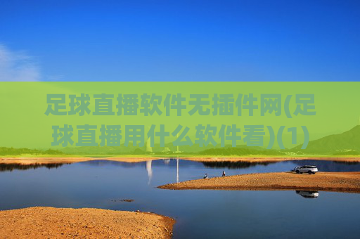 足球直播软件无插件网(足球直播用什么软件看)(1)