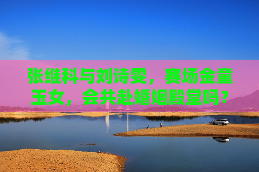 张继科与刘诗雯，赛场金童玉女，会共赴婚姻殿堂吗？张继科刘诗雯，赛场金童玉女，会共赴婚姻殿堂吗？