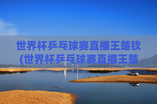 世界杯乒乓球赛直播王楚钦(世界杯乒乓球赛直播王楚钦几点)