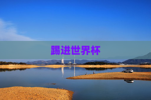 踢进世界杯