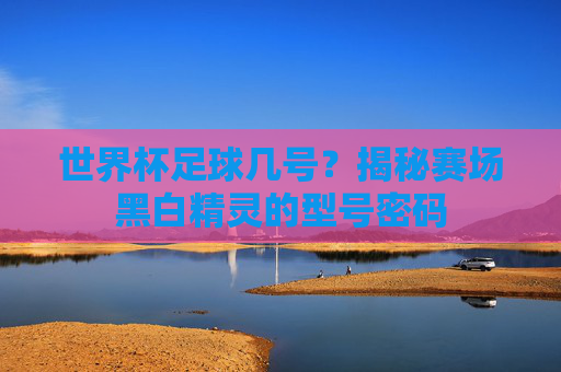 世界杯足球几号?揭秘赛场黑白精灵的型号密码