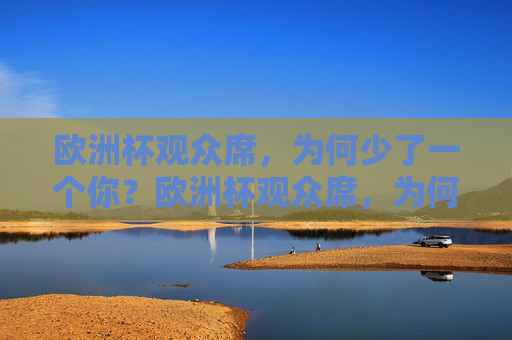 欧洲杯观众席,为何少了一个你?欧洲杯观众席,为何少了一个你?