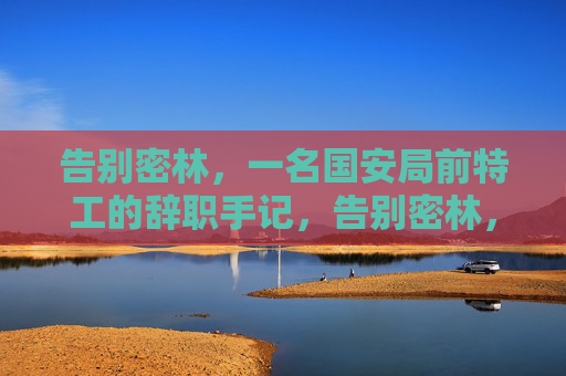 告别密林,一名国安局前特工的辞职手记,告别密林,国安局前特工辞职手记