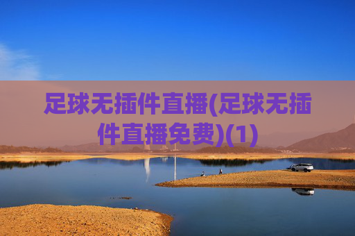 足球无插件直播(足球无插件直播免费)(1)