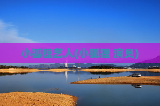 小狐狸艺人(小狐狸 演员)