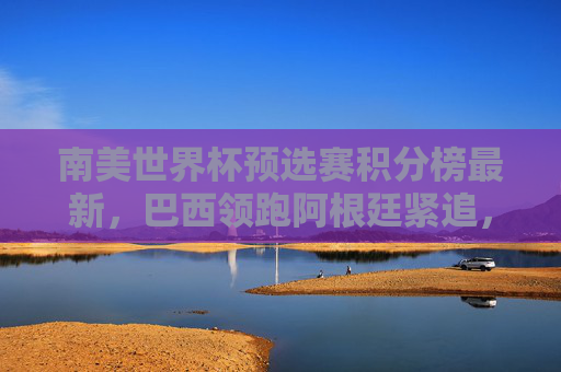 南美世界杯预选赛积分榜最新,巴西领跑阿根廷紧追,南美区出线形势白热化,南美世界杯预选赛,巴西领跑阿根廷紧追 出线形势白热化