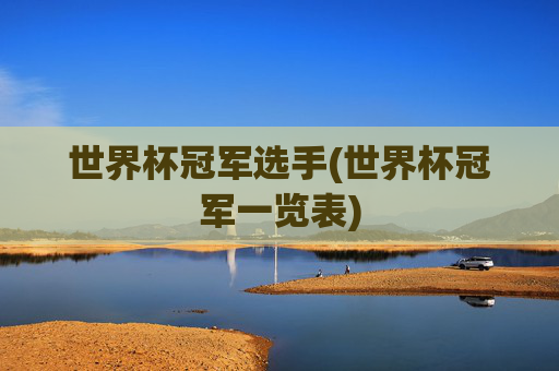 世界杯冠军选手(世界杯冠军一览表)