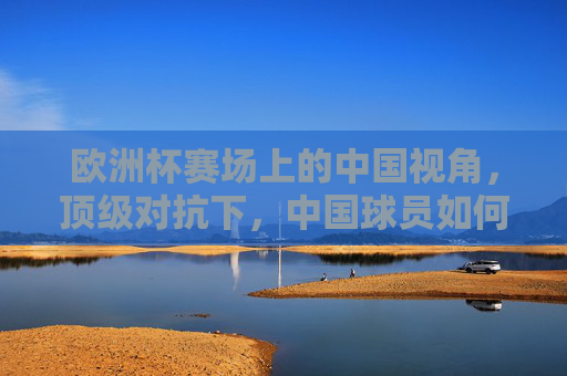 欧洲杯赛场上的中国视角,顶级对抗下,中国球员如何突破与适应,欧洲杯中国视角,顶级对抗下中国球员的突破与适应