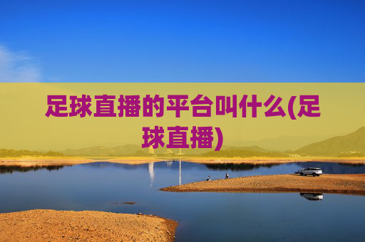 足球直播的平台叫什么(足球直播)
