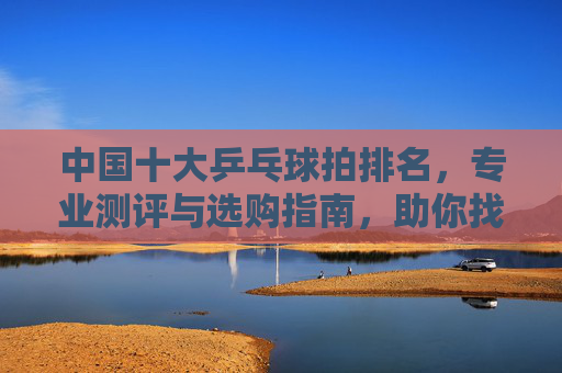 中国十大乒乓球拍排名,专业测评与选购指南,助你找到称手的神兵利器,中国十大乒乓球拍排名,专业测评与选购指南