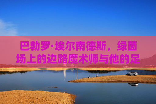 巴勃罗·埃尔南德斯，绿茵场上的边路魔术师与他的足球哲学，巴勃罗·埃尔南德斯，边路魔术师的足球哲学