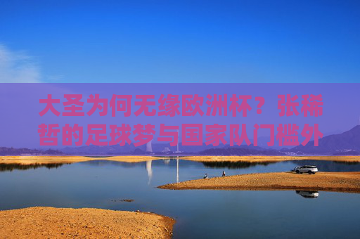 大圣为何无缘欧洲杯?张稀哲的足球梦与国家队门槛外的现实,大圣无缘欧洲杯,张稀哲的足球梦与国家队门槛外的现实