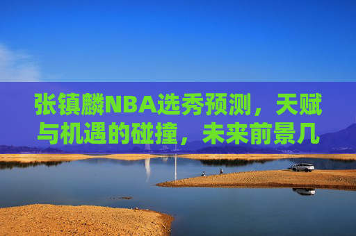 张镇麟NBA选秀预测，天赋与机遇的碰撞，未来前景几何？张镇麟NBA选秀，天赋机遇碰撞，未来前景几何？