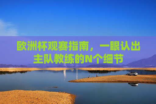 欧洲杯观赛指南,一眼认出主队教练的N个细节
