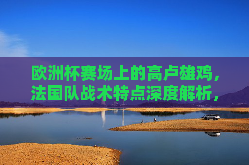 欧洲杯赛场上的高卢雄鸡,法国队战术特点深度解析,欧洲杯高卢雄鸡,法国队战术特点深度解析