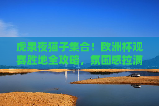 虎泉夜猫子集合!欧洲杯观赛胜地全攻略,氛围感拉满!虎泉夜猫子欧洲杯观赛胜地全攻略,氛围感拉满